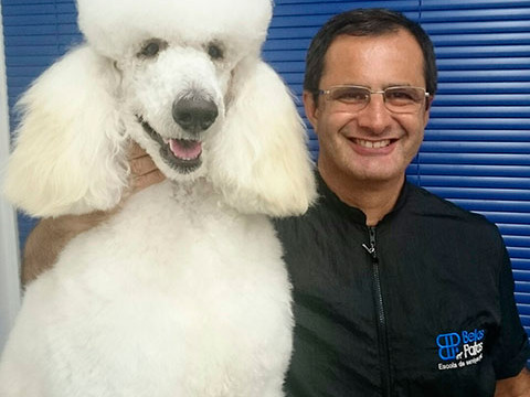 [Sérgio Pires]